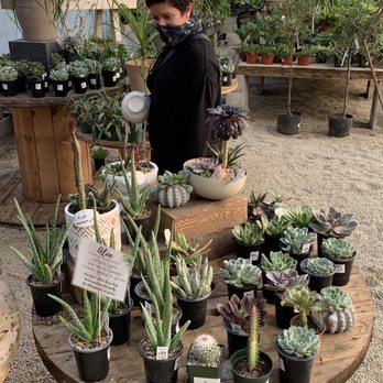 Shade Home and Garden - Nurseries & Gardening Near Me - Orem, Utah