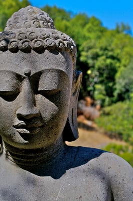 Spirit Rock Meditation Center by null