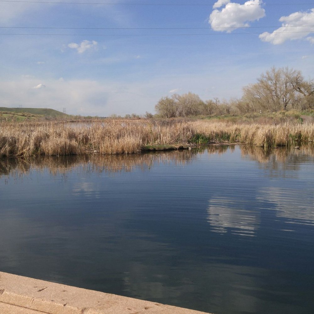 Chatfield State Park - Parks Near Me - Littleton, Colorado