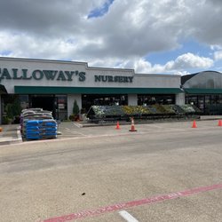 Calloway's Nursery - Welcome to Calloway's Nursery Richardson!