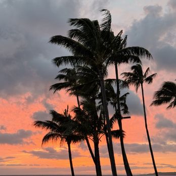 RumFire Poipu Beach - Sunset view - Seafood Near Me - Koloa, Hawaii RumFire Poipu Beach - Sunset view - Seafood Near Me - Koloa, Hawaii