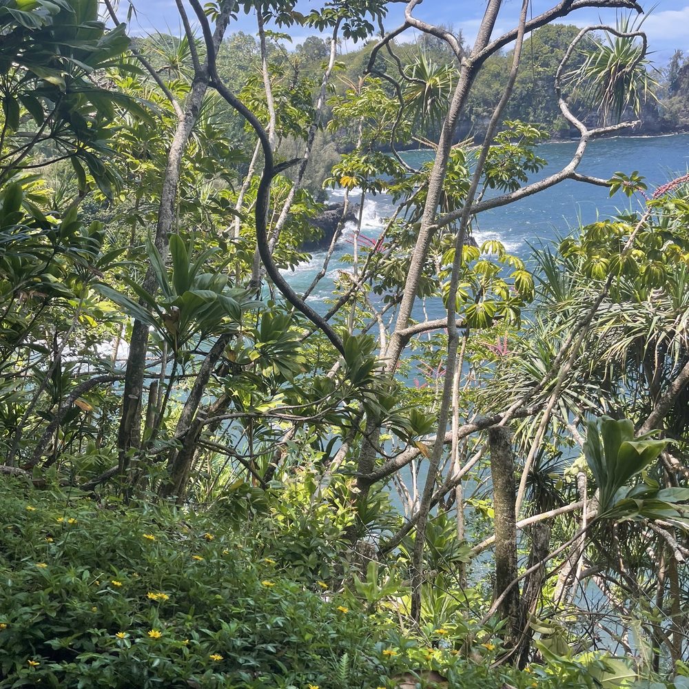 Onomea Bay - Local Flavor Near Me Onomea Bay - Local Flavor Near Me