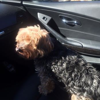 Doggie Styles - Taking the bitch to a different groomer! - Pet Groomers Near Me - Glendora, California