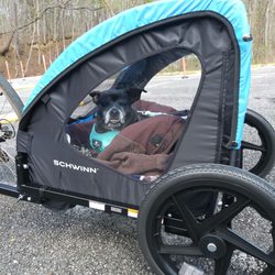 Enterprise South Nature Park - Our dog loves her buggy rides at the nature park.