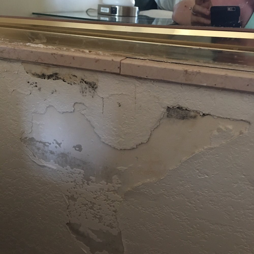 Tropicana Laughlin - A Caesars Rewards Destination - BLACK MOLD in our room - Hotels Near Me - Laughlin, Nevada Tropicana Laughlin - A Caesars Rewards Destination - BLACK MOLD in our room - Hotels Near Me - Laughlin, Nevada