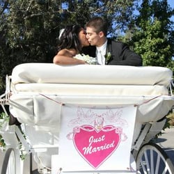 Always & Forever Carriage - Always & Forever Carriage Co.