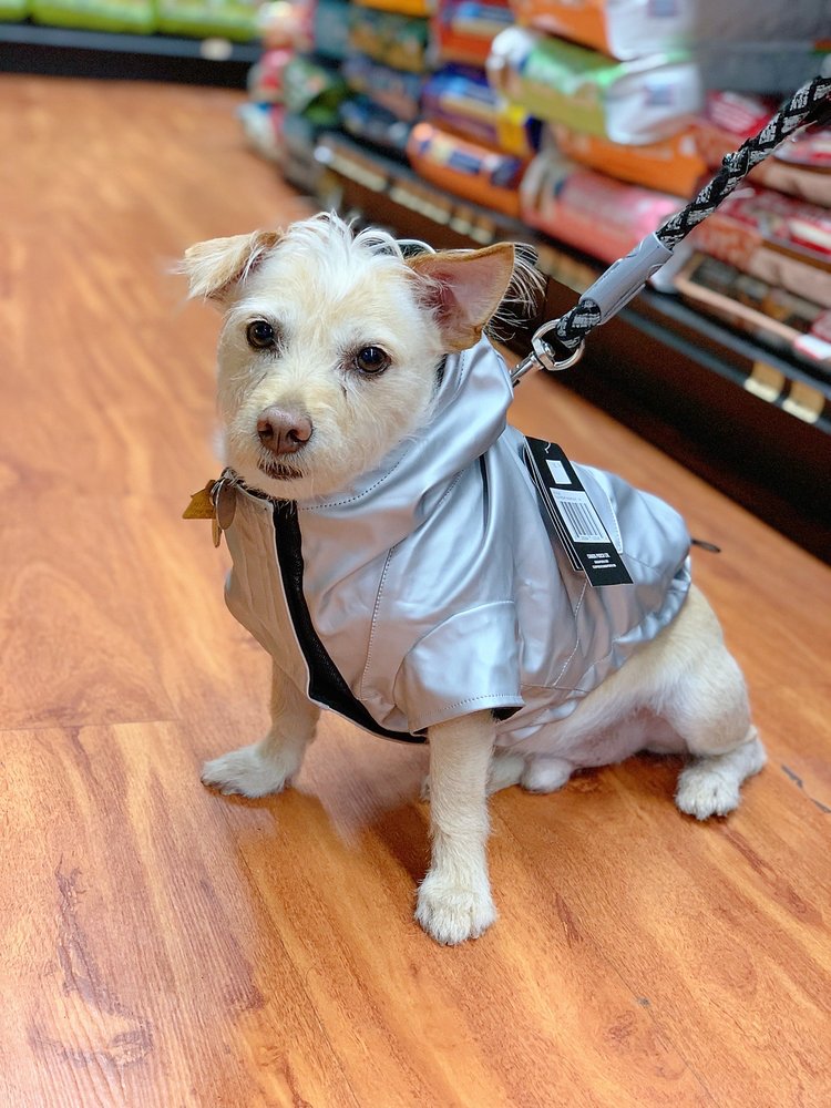 BOSLEY’S Updated September 2024 14 Photos 2565 Hwy