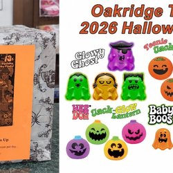 Oakridge Hobbies - Halloween NeeDohs are here! Due to high demand, we are using a lottery system with drawings from Oct 3rd to Oct 18th...