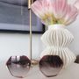 Photo of Apollo Optical