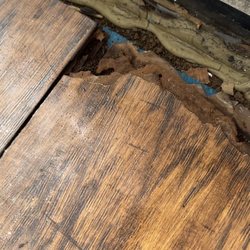 Ocean Cove Inn - Bugs in floor