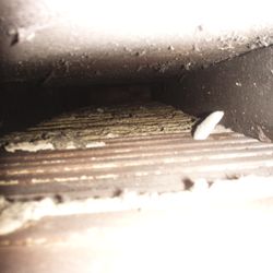 Check Mark Services - Balloon framed with no insulation. COLD.