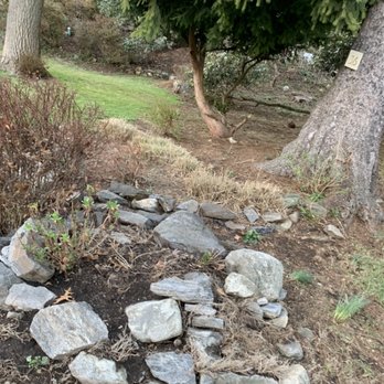 Baudi Landscaping - Spring clean up - Landscaping Near Me