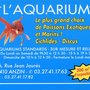 Photo of L'Aquarium