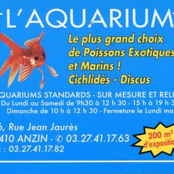 L'Aquarium