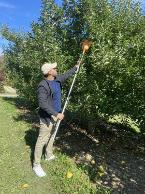 Apple Barrel Orchards by null
