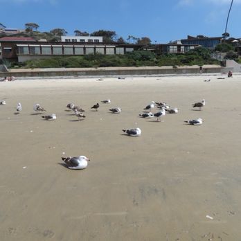 La Jolla Shores - Beaches Near Me - La Jolla, California