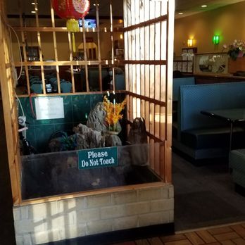 New China Buffet - Interior from the entrance - Chinese Near Me - North Augusta, South Carolina