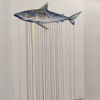 Ala Moana Pacific Center - Fishie... - Shared Office Spaces Near Me - Honolulu, Hawaii Ala Moana Pacific Center - Fishie... - Shared Office Spaces Near Me - Honolulu, Hawaii