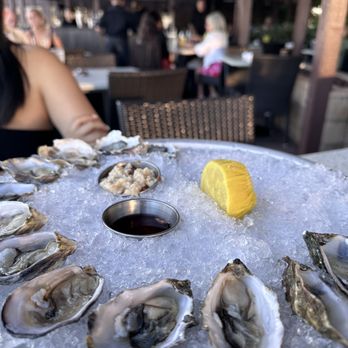 C Level - Oysters - New American Near Me - San Diego, California C Level - Oysters - New American Near Me - San Diego, California