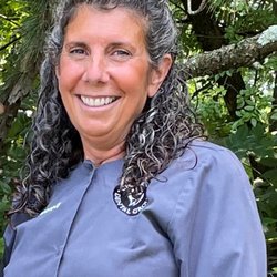 Connie F Cicorelli, DDS