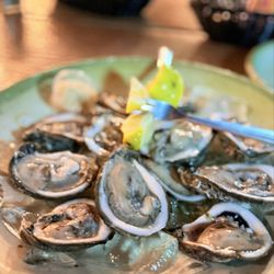 PJ's Oyster Bar
