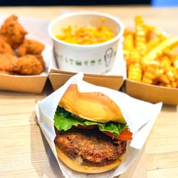 Shake Shack Marin Country Mart - 'Shroom burger and the back-up mea!
