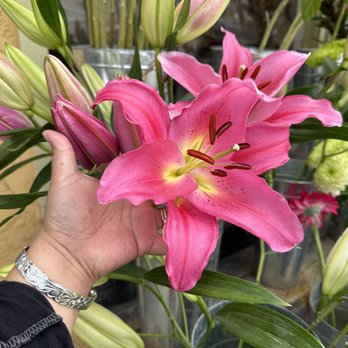Devynn's Garden - Huge lily - Florists Near Me - Seal Beach, California
