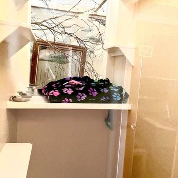 Meowhaus 1 Feline Boarding & Day Spa - Pet Groomers Near Me - Portland, Oregon