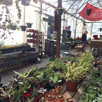 Buchanan's Native Plants - Nurseries & Gardening Near Me - Houston, Texas Buchanan's Native Plants - Nurseries & Gardening Near Me - Houston, Texas