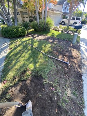 Sod installation - Small sod installation. Looks great