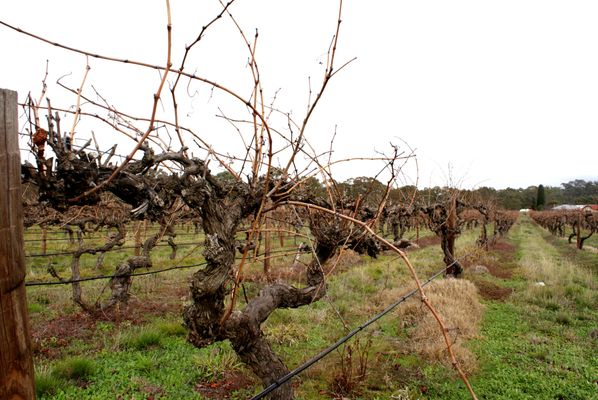 Grampians Estate by null