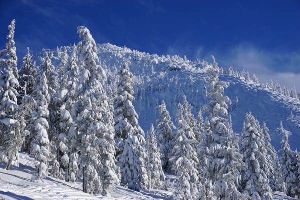 Mount Washington Alpine Resort by null