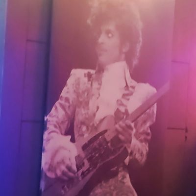 Velvet Lounge by null