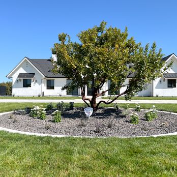 SIG Landscape - a tree in a flower bed in front of a house - Landscaping Near Me - Modesto, California SIG Landscape - a tree in a flower bed in front of a house - Landscaping Near Me - Modesto, California