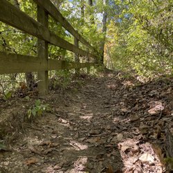 Buffalo Rock State Park