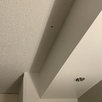 SpringHill Suites - Dulles Airport - Bug in room - Hotels Near Me - Sterling, Virginia SpringHill Suites - Dulles Airport - Bug in room - Hotels Near Me - Sterling, Virginia