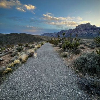 Red Rock Canyon Overlook - Sunrise walk with my little one. - Climbing Near Me - Las Vegas, Nevada Red Rock Canyon Overlook - Sunrise walk with my little one. - Climbing Near Me - Las Vegas, Nevada