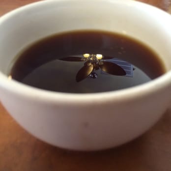 Monkey Business Cafe - Ethiopian "Brew of the day" - Sandwiches Near Me - Fullerton, California