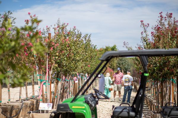 MOON VALLEY NURSERIES - Updated July 2024 - 226 Photos & 274 Reviews ...