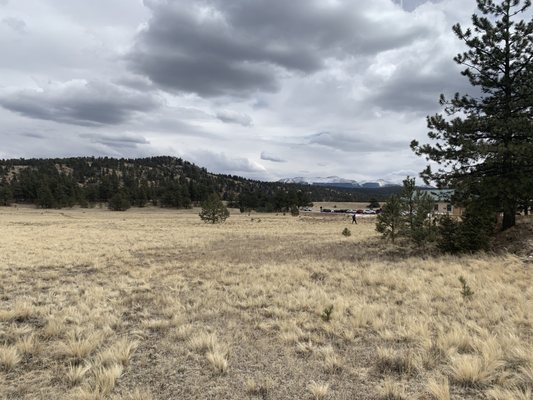 Florissant Fossil Beds National Monument by null