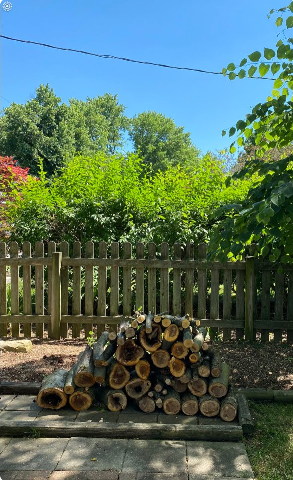 THOMAS AND SONS TREE & MULCH Springfield, Ohio, United States