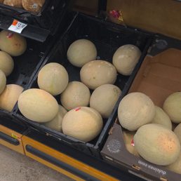 a display of melons - Multiple cantaloupe melons are arranged in a black plastic crate on a grocery store shelf. The melons vary in size and have a textured, netted surface typical of cantaloupe. Some melons show slight discoloration or blemishes. The crate is part of a refrigerated display, with other produce visible nearby, and price tags are displayed above the shelf.