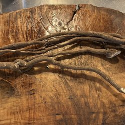 Roots Kava Bar