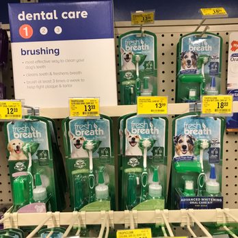 PetSmart - what do you get for the dog that has (read: eats) everything? - Pet Training Near Me - Vancouver, Washington PetSmart - what do you get for the dog that has (read: eats) everything? - Pet Training Near Me - Vancouver, Washington