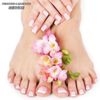 Nail Studio gift card