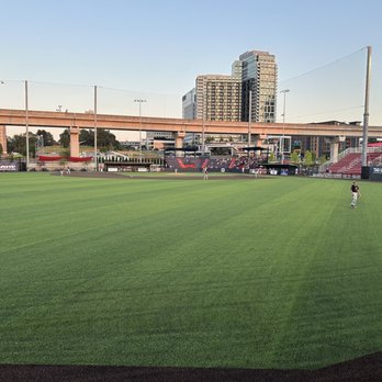 Capital One Park - Baseball Fields Near Me - Tysons, Virginia Capital One Park - Baseball Fields Near Me - Tysons, Virginia