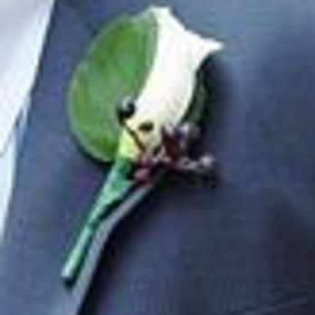 McCormick Flowers - groomsman's boutonniere - Florists Near Me - Winthrop, Massachusetts