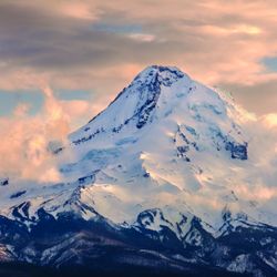 Northwest Cosmetic Surgery