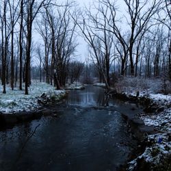 Millbrook Marsh Nature Center