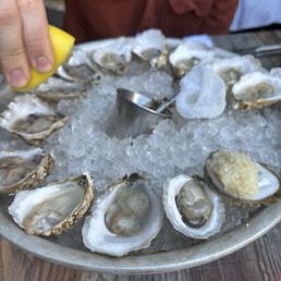 Oysters Oysters